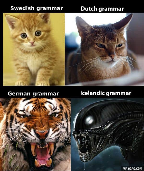 A funny joke about Icelandic grammar